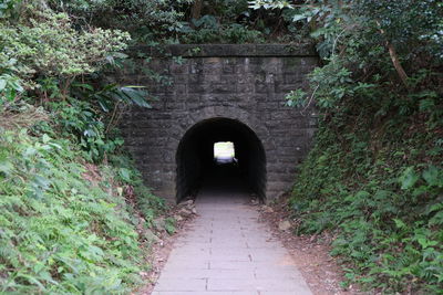 Footpath leading towards tunnel