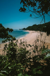 Scenic view of sea against clear blue sky