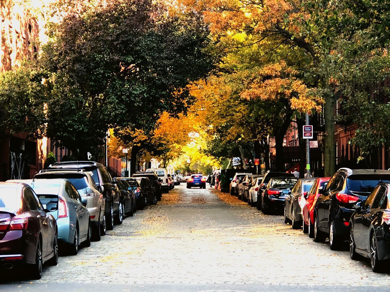 STREET AMIDST TREES IN CITY