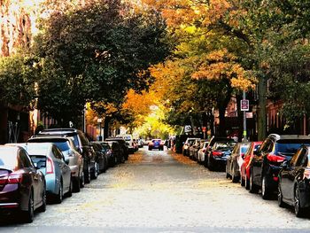 Cars on street in city