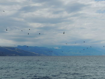 Birds flying over sea against cloudy sky