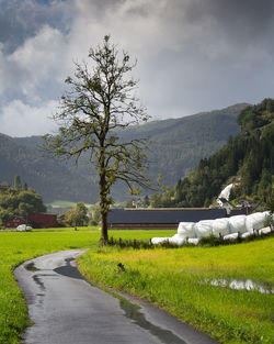 A beautiful norway landscape at the fjords in september. authentic scenery of northern europe.