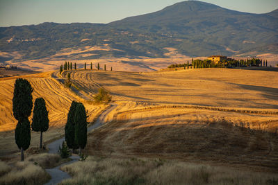 Rear view of woman walking on field