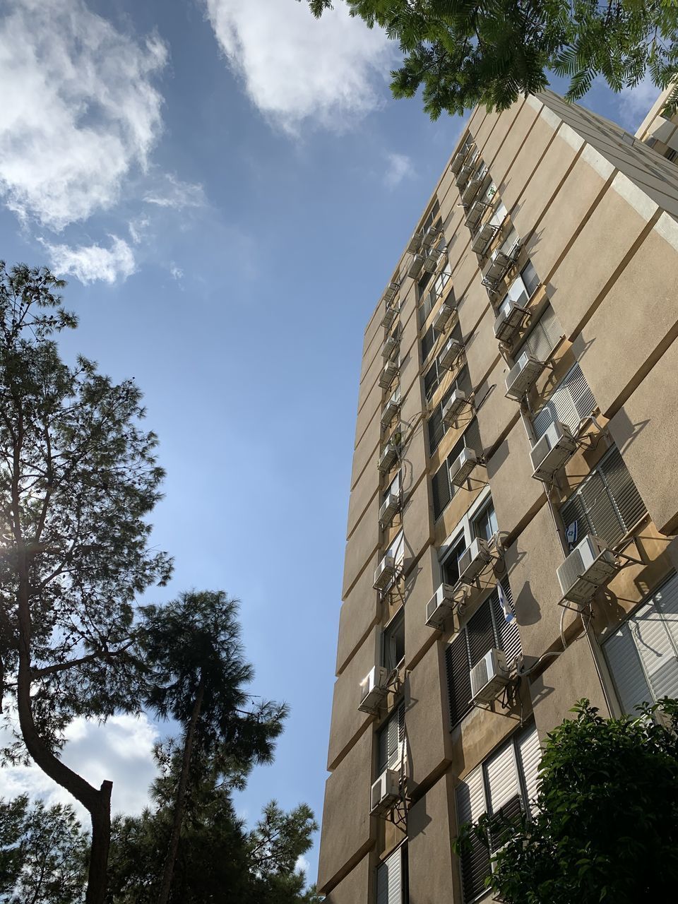 LOW ANGLE VIEW OF BUILDING BY TREE AGAINST SKY