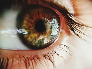 Close-up of human eye looking away