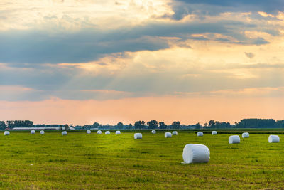 Hay bales on field against sky during sunset