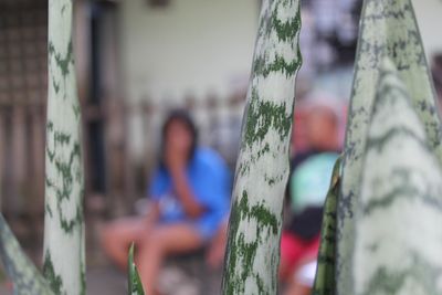 Close-up of plants with woman in background