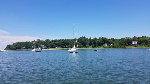 Sailboats in sea against clear blue sky