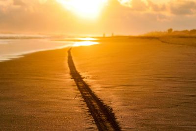 Tire tracks at sandy beach during sunset