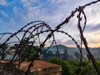 Close-up of razor wire against sky