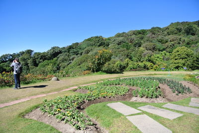 Scenic view of landscape against clear blue sky