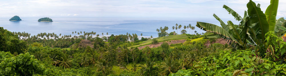 Rural landscape in north sulawesi