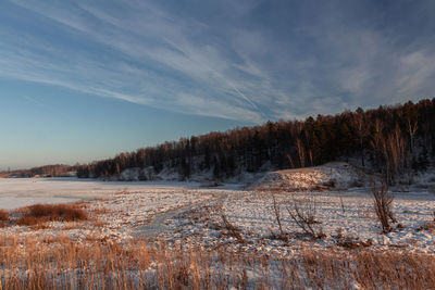 Trees on snow covered land against sky