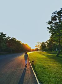 Rear view of woman with dog walking on road against clear sky during sunset