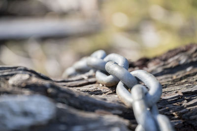 Close-up of chain on rock