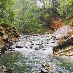 River flowing through rocks