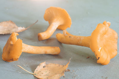 High angle view of orange slices on table