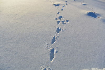 High angle view of footprints on snow covered field