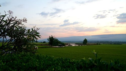 Scenic view of field against sky during sunset