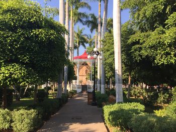 Walkway amidst trees against sky