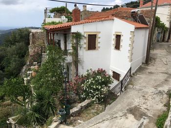 Plants and houses in town against sky