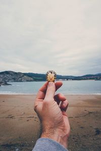 Cropped hand of person holding seashell at beach against sky