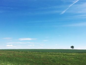 Scenic view of rural landscape against blue sky