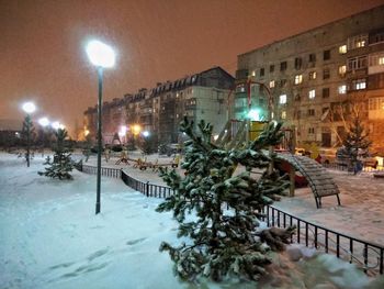 Illuminated christmas tree in winter at night