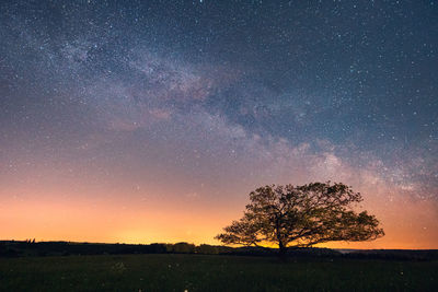 Trees on field against sky at night