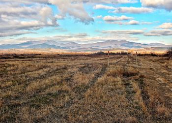 Scenic view of landscape against sky