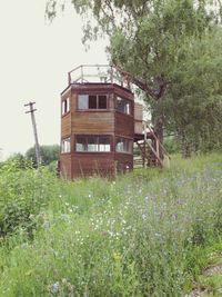 Trees growing in a park