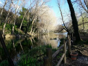 Scenic view of lake by trees against sky