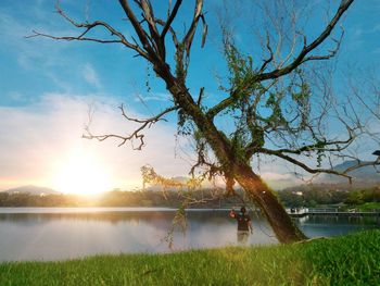 Bare tree by lake against sky during sunset