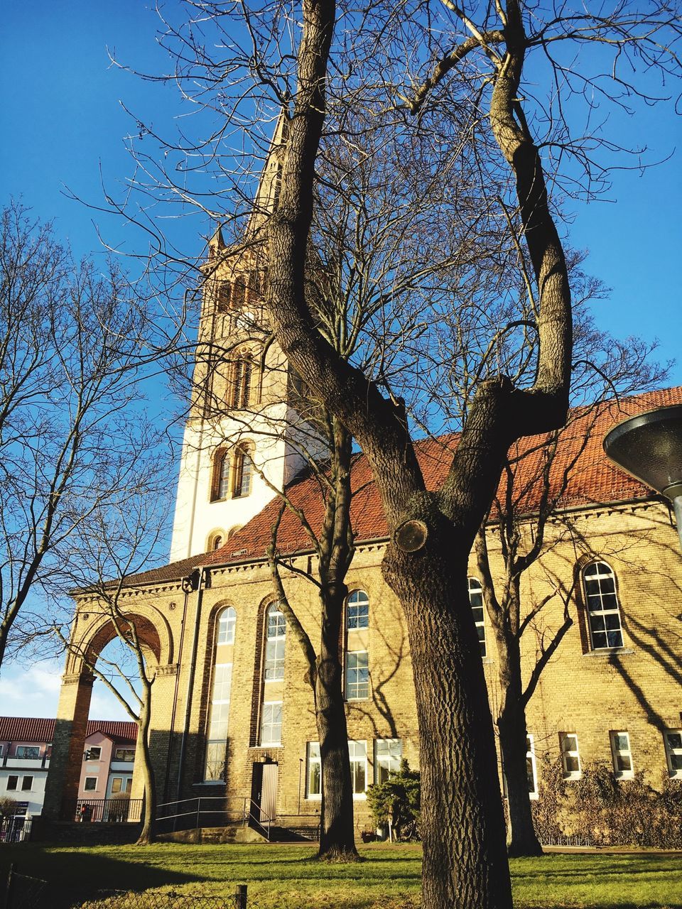 building exterior, architecture, built structure, tree, bare tree, low angle view, branch, clear sky, church, religion, place of worship, tree trunk, blue, sky, spirituality, grass, tower, day