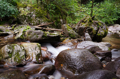 Stream flowing through rocks in forest