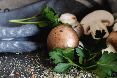 Close-up of mushrooms growing on table