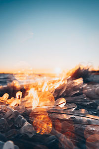 Close-up of bonfire