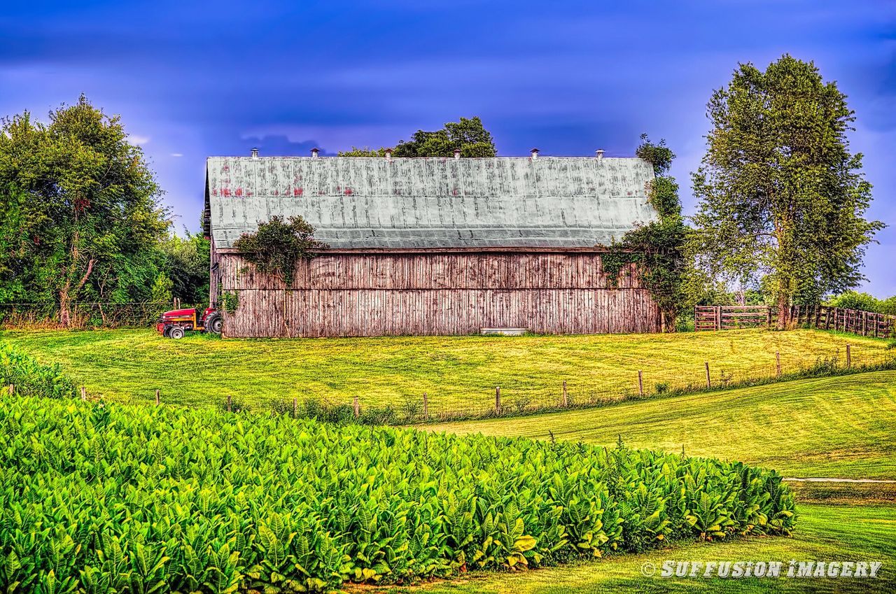 grass, built structure, architecture, sky, building exterior, field, green color, tree, cloud - sky, growth, landscape, plant, nature, lawn, grassy, cloud, outdoors, tranquil scene, tranquility, beauty in nature