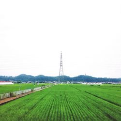 Scenic view of rural landscape