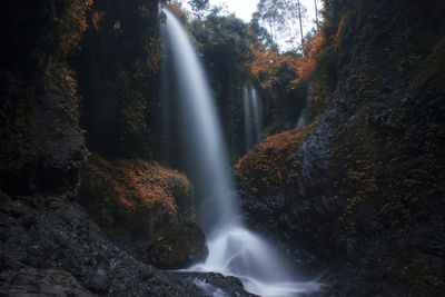 Scenic view of waterfall in forest