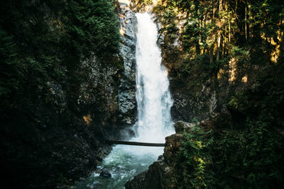 Scenic view of waterfall in forest