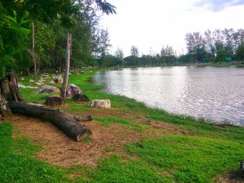 Scenic view of lake amidst trees