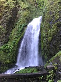 Scenic view of waterfall in forest