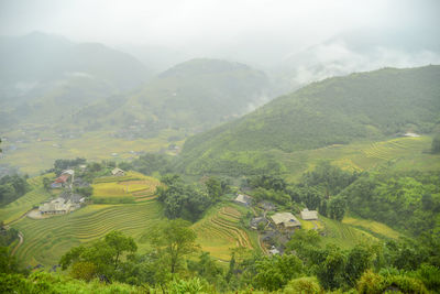 Scenic view of rural landscape