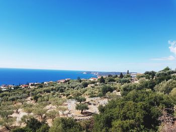 Trees and sea against clear blue sky