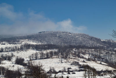 Scenic view of snow covered landscape against sky