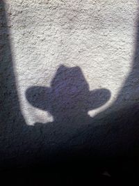 Shadow of man on wall