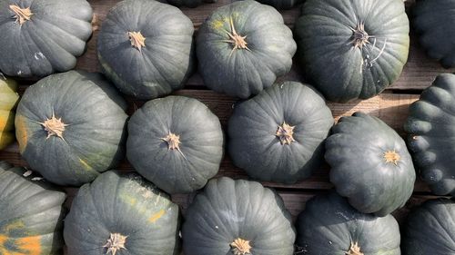 Full frame shot of pumpkins