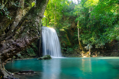 Scenic view of waterfall in forest