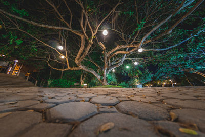 View of illuminated street lights at night